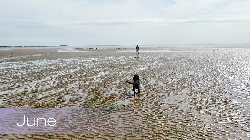 Photo Calendar Competition – June’s Winning Entry!
