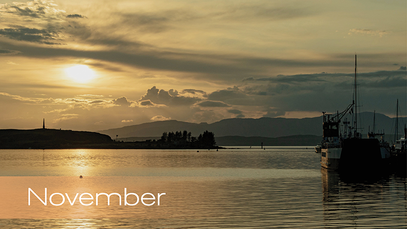 Photo Calendar Competition – November's Winning Entry!