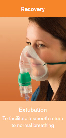 versi-flow-explore-landing-page-oxygen-and-aerosol-therpay-image