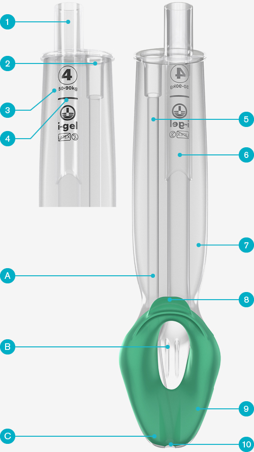 explore-i-gel-image-i-gel-Plus-A-features-and-benefits-f5f5f5-background